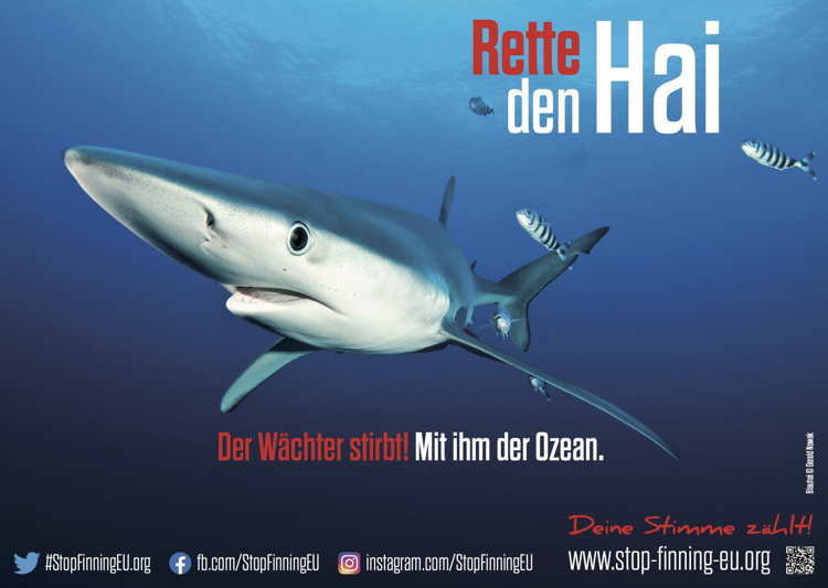 Phytopharma unterstützt die Initiative STOP FINNING - STOP THE TRADE