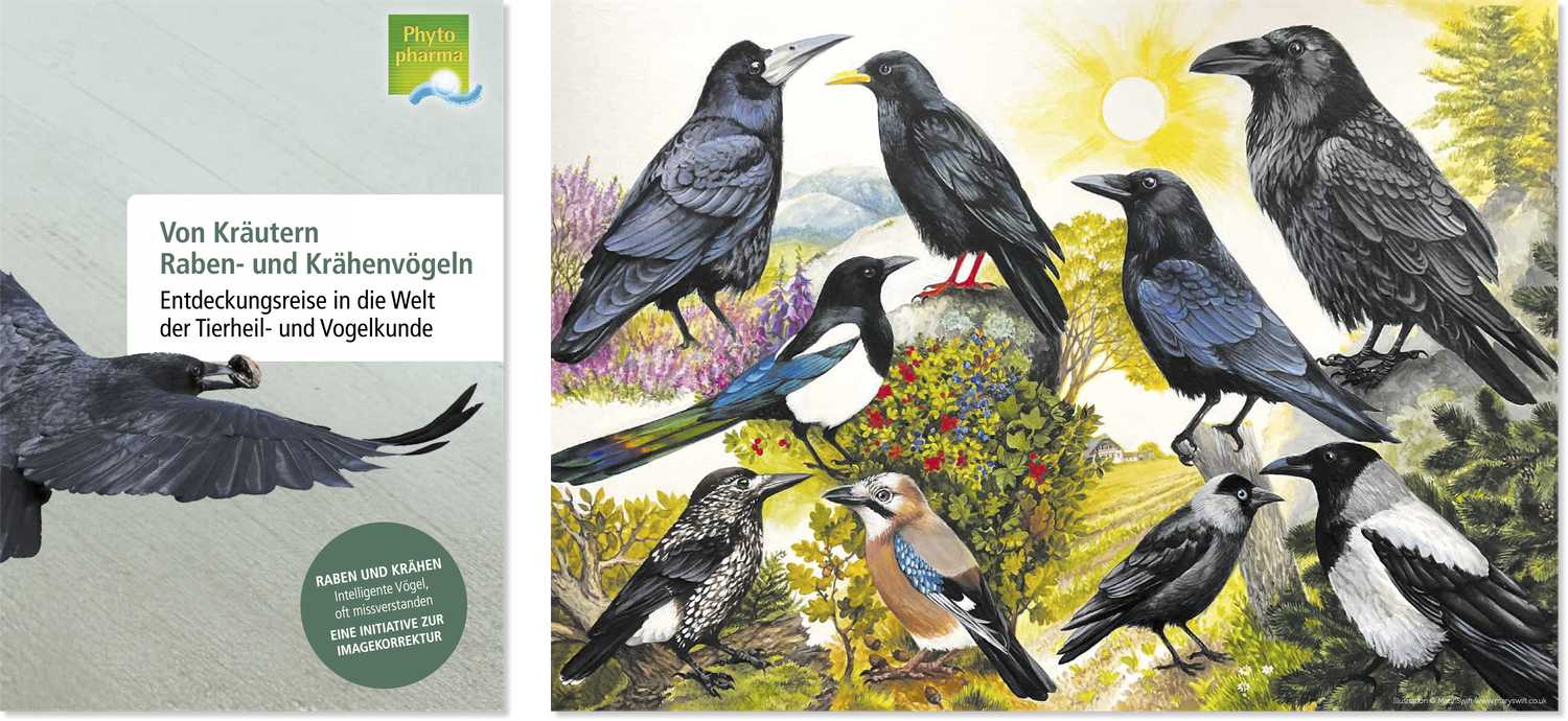 Entdeckungsreise in die Welt der Vogel- und Tierheilkunde mit Jo Marty und BirdLife