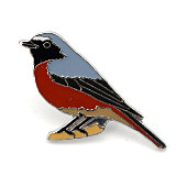 Gartenrotschwanz Pin - Reinerlös BirdLife