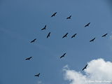 img_4345.jpg